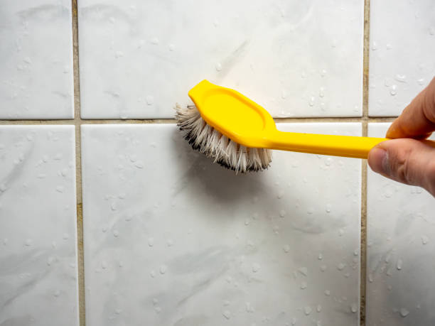 Professional Mold Remediation in Ringwood, NJ